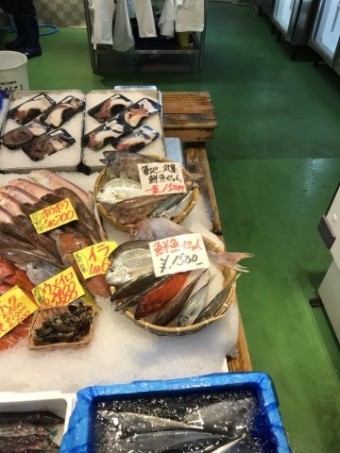 IMG_1064 IMG_1064-e1539494317816